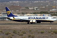 Alfonso Sols - Asociacin Canary Islands Spotting. Click to see full size photo