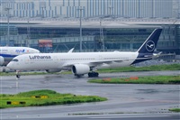 Miguel A. gueda Rguez.  (CANARY ISLANDS SPOTTING). Click to see full size photo