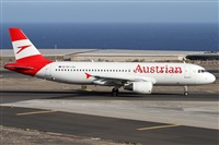 ©Alfonso Solís - Asociación Canary Islands Spotting. Click to see full size photo ©Alfonso Solís - Asociación Canary Islands Spotting. Click to see full size photo