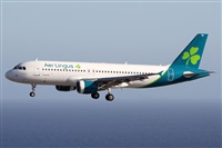 Alfonso Sols - Asociacin Canary Islands Spotting. Haz click para ampliar