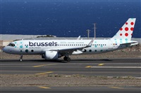 ©Alfonso Solís - Asociación Canary Islands Spotting. Click to see full size photo ©Alfonso Solís - Asociación Canary Islands Spotting. Click to see full size photo