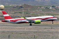 Miguel A. gueda Rguez.  (CANARY ISLANDS SPOTTING). Click to see full size photo