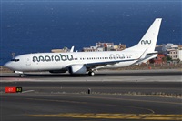 Alfonso Sols - Asociacin Canary Islands Spotting. Click to see full size photo