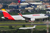 Miguel A. gueda Rguez.  (CANARY ISLANDS SPOTTING). Click to see full size photo