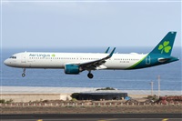 ©Alfonso Solís - Asociación Canary Islands Spotting. Click to see full size photo ©Alfonso Solís - Asociación Canary Islands Spotting. Click to see full size photo