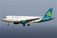 ©Alfonso Solís - Asociación Canary Islands Spotting. Click to see full size photo ©Alfonso Solís - Asociación Canary Islands Spotting. Click to see full size photo