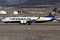 Alfonso Sols - Asociacin Canary Islands Spotting. Click to see full size photo