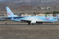 �Alfonso Sol�s - Asociaci�n Canary Islands Spotting. Click to see full size photo