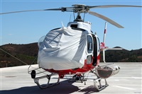 �Fernando Dias silva. Click to see full size photo