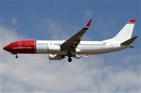 �Alfonso Sol�s - Asociaci�n Canary Islands Spotting. Click to see full size photo