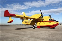 �Luis Mart�n Garcia. AIRE.org. Click to see full size photo