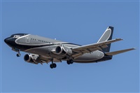 ©Adolfo Bento - Gran Canaria Spotters. Click to see full size photo ©Adolfo Bento - Gran Canaria Spotters. Click to see full size photo