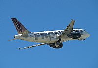 Melvin Pereira - Iberian Spotter. Click to see full size photo