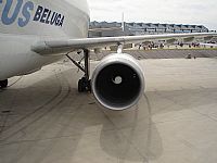 Galo Alcolea - Iberian Spotter / AIRE.ORG. Click to see full size photo