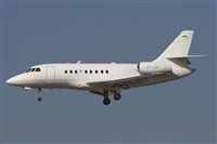 Jos Miguel Bernases - Noisy Spotters. Click to see full size photo