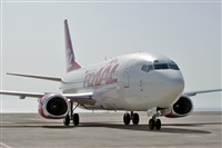 Javier de la Cruz - CANARY ISLANDS SPOTTING. Click to see full size photo