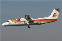 Rodrigo Carvalho - Noisy Spotters. Click to see full size photo