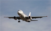 friker - Desert spotters. Click to see full size photo