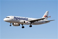 Javier de la Cruz - CANARY ISLANDS SPOTTING. Click to see full size photo
