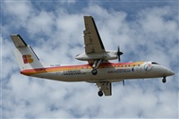 Jose.A.Muriel (chico). Click to see full size photo