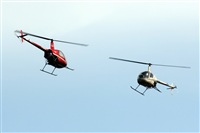 La Roche Spotters. Click to see full size photo