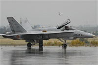 Cele - Spotters BCN. Click to see full size photo