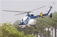 Adrin Chapela Cordeiro - Gallaecia Spotters. Click to see full size photo
