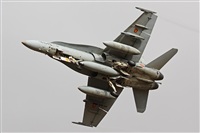 Javier G.M.. Click to see full size photo
