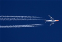 ©Javier González. Click to see full size photo ©Javier González. Click to see full size photo