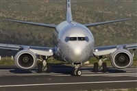 Ayoze Santana Mendez - Canary Islands Spotting. Haz click para ampliar