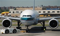 Rubn Gil - Noisy Spotters. Click to see full size photo