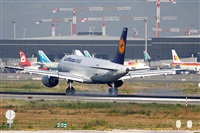 ©José Miguel Bernases - Noisy Spotters. Click to see full size photo ©José Miguel Bernases - Noisy Spotters. Click to see full size photo