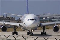 Jos Miguel Bernases - Noisy Spotters. Click to see full size photo