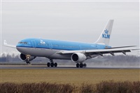 Jos Miguel Bernases - Noisy Spotters. Click to see full size photo