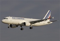 Jos Miguel Bernases - Noisy Spotters. Click to see full size photo