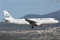 Miguel A. gueda Rguez.  (CANARY ISLANDS SPOTTING). Click to see full size photo