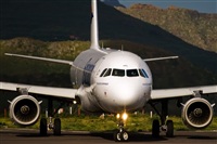 Javier de la Cruz - CANARY ISLANDS SPOTTING. Click to see full size photo