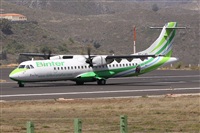 ©Alfonso Solís - Asociación Canary Islands Spotting. Click to see full size photo ©Alfonso Solís - Asociación Canary Islands Spotting. Click to see full size photo