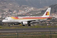 ©Alfonso Solís - Asociación Canary Islands Spotting. Click to see full size photo ©Alfonso Solís - Asociación Canary Islands Spotting. Click to see full size photo