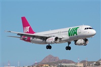 Chalo Canary Islands Spotting. Click to see full size photo
