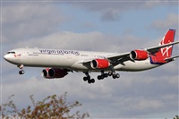 Rubn Gil - Noisy Spotters. Click to see full size photo