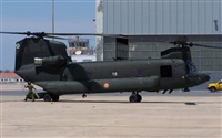 ragoval. Click to see full size photo