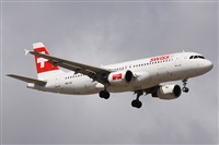 ©Alfonso Solís - Asociación Canary Islands Spotting. Click to see full size photo ©Alfonso Solís - Asociación Canary Islands Spotting. Click to see full size photo