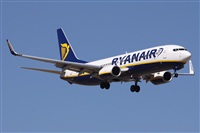 Alfonso Sols - Asociacin Canary Islands Spotting. Click to see full size photo
