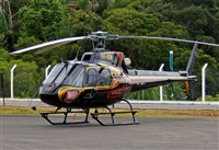 Fabio Duarte - Manaus Spotting Team. Click to see full size photo