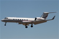 Alex Carneiro-www.portugalspotters.org. Click to see full size photo