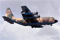 Adolfo Bento - Gran Canaria Spotters. Click to see full size photo