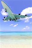 Rui Alves - Madeira Spotters. Click to see full size photo