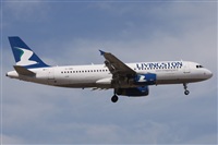 Alfonso Sols - Asociacin Canary Islands Spotting. Haz click para ampliar