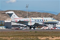 Chema Gmez. Click to see full size photo